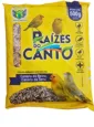 Curió Bicudo Azulão