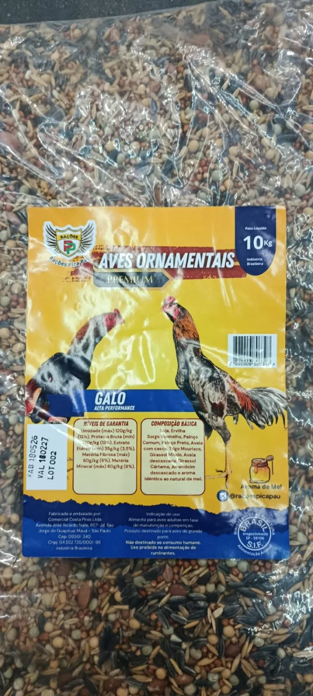 Galo Performance